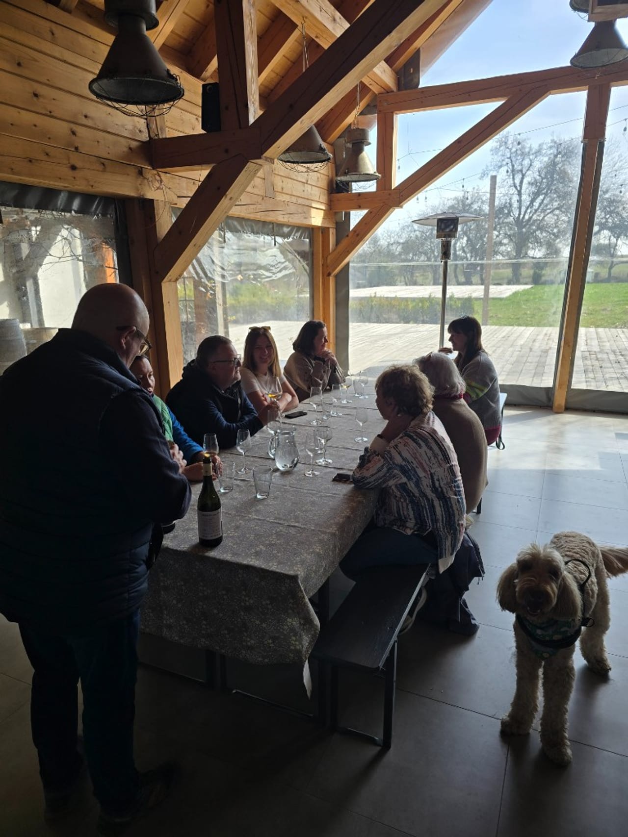 Degustacja przy stole w winnicy — wycieczki z Moti